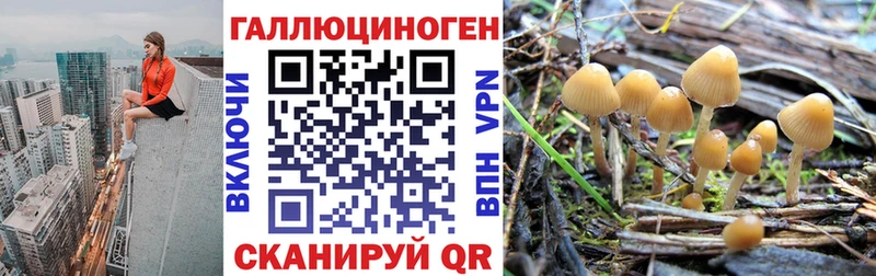 Псилоцибиновые грибы GOLDEN TEACHER  ссылка на мегу ССЫЛКА  Волхов 